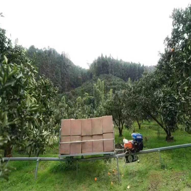 農(nóng)用軌道貨運車 山地果園運貨車 汽油單軌運輸車 運載小火車