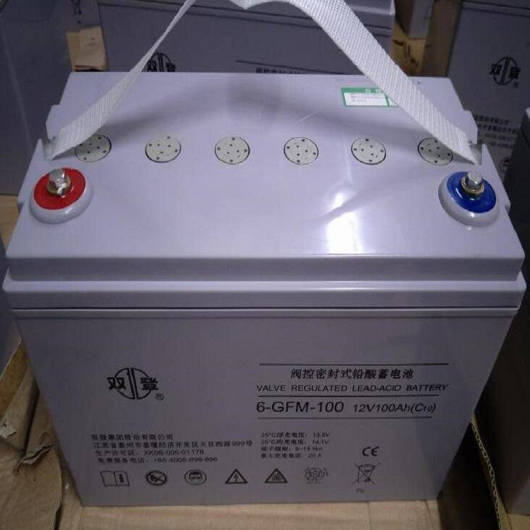 雙登鉛酸免維護(hù)蓄電池6-GFM-100直流屏UPS蓄電池12v100ah